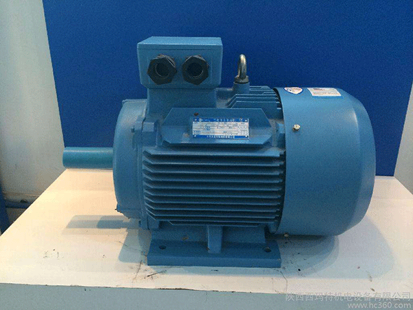 高效節能電機是西安泰富西瑪未來(lái)商業(yè)發(fā)展的方向。