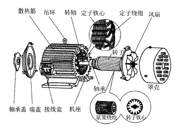 三相異步電動(dòng)機的六種分類(lèi)方法及具體分類(lèi)。